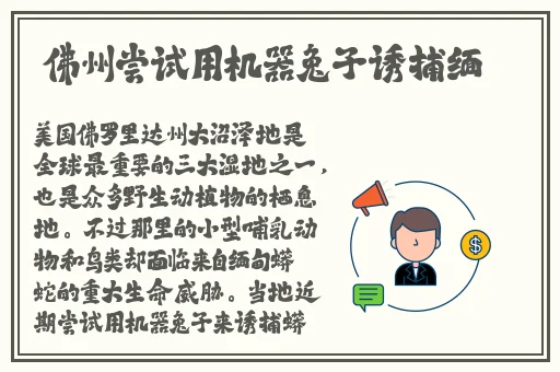 老师哭着说不能再深了作文